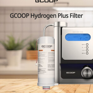 Hydrogen Filter